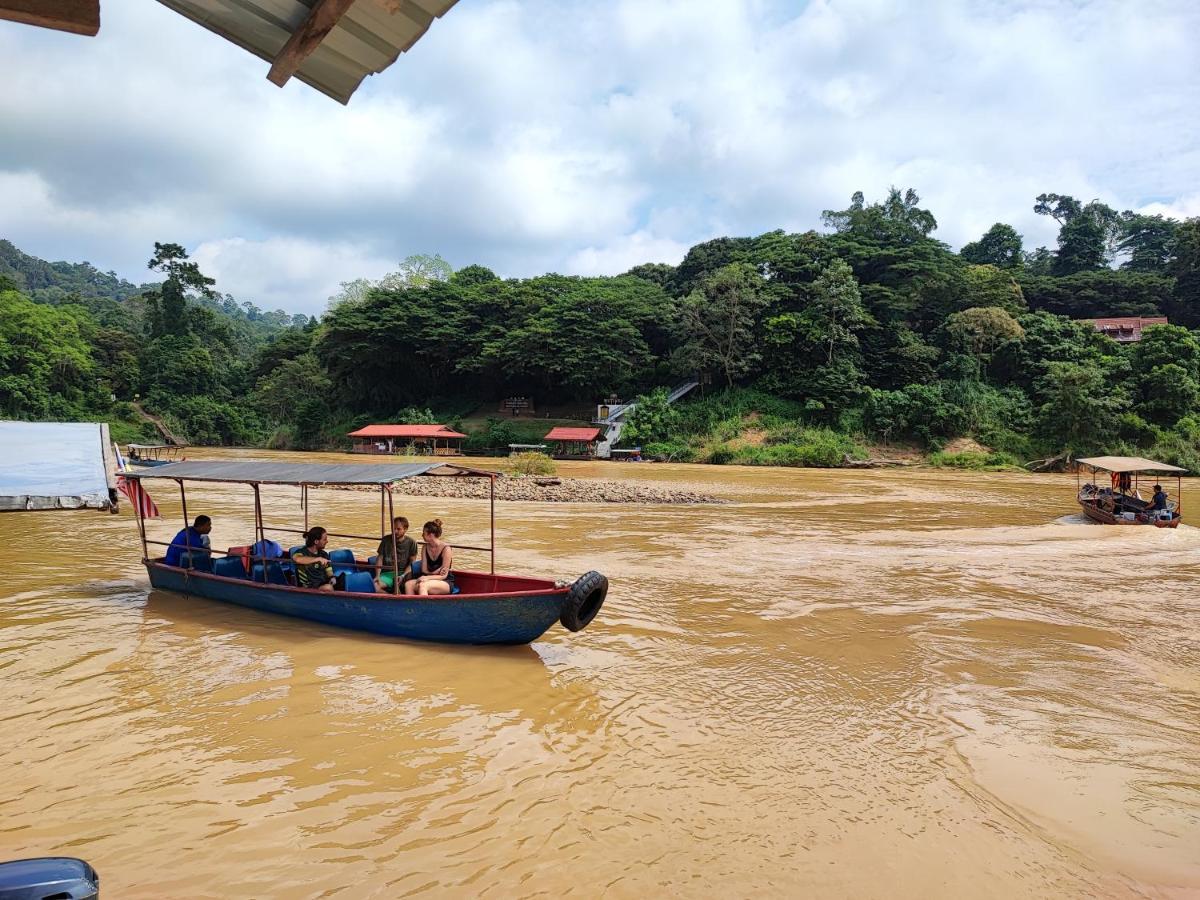 Tekoma Resort Taman Negara Kuala Tahan Esterno foto