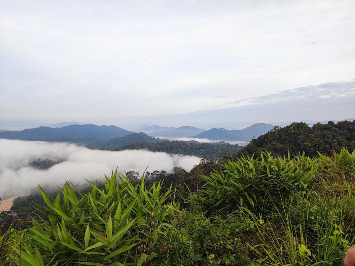 Tekoma Resort Taman Negara Kuala Tahan Esterno foto