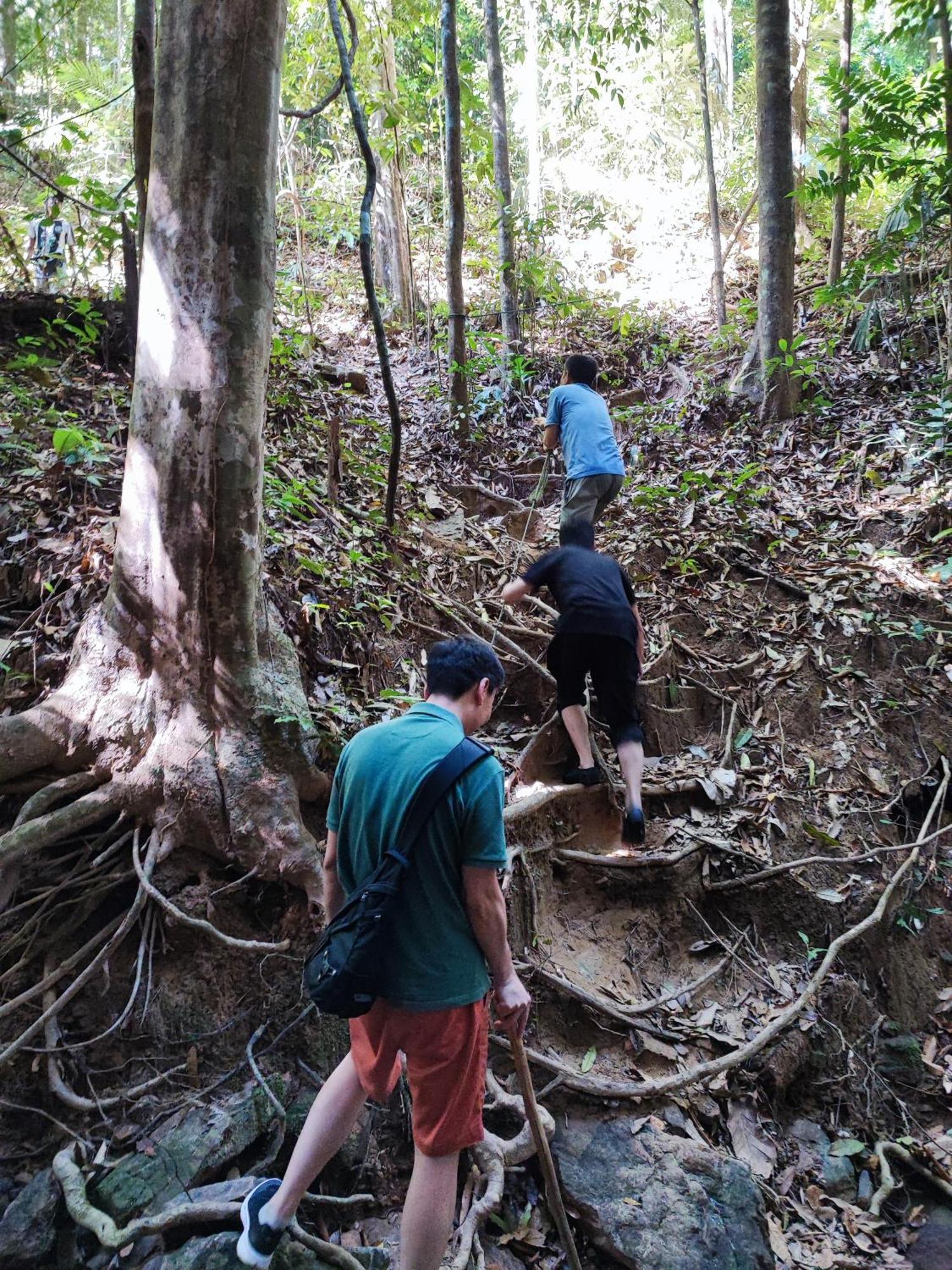 Tekoma Resort Taman Negara Kuala Tahan Esterno foto