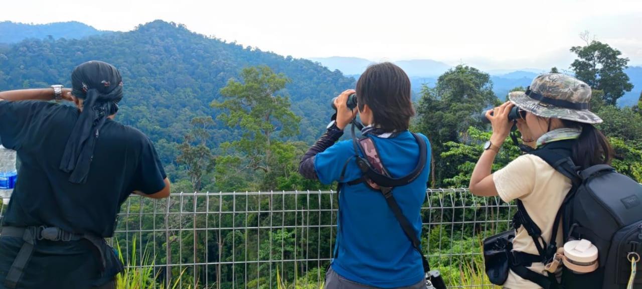 Tekoma Resort Taman Negara Kuala Tahan Esterno foto